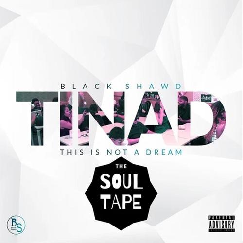 T.I.N.A.D. This Is Not A Dream cover