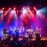 TRIBUTE...a celebration of The Allman Brothers Band
