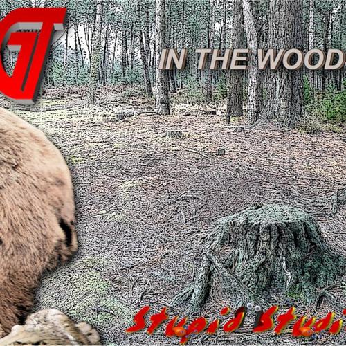 In The Woods cover