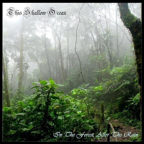 In The Forest, After The Rain cover