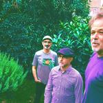Terrapin trio