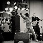 Jesse Garron's Tribute to Elvis