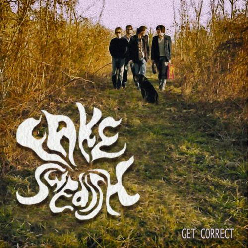 Get Correct cover