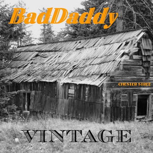 VINTAGE cover