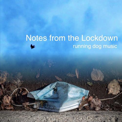 Notes from the Lockdown cover