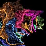 NeonRust