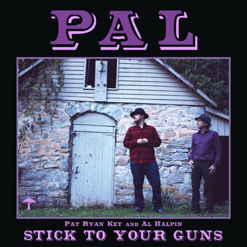 Stick To Your Guns cover