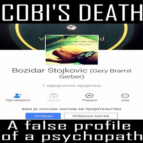 A false profile of a psychopath (Single) cover