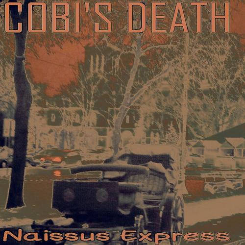 Naisuss Express cover