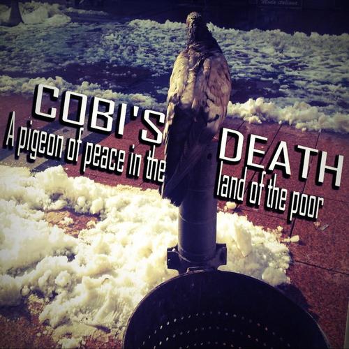 A pigeon of peace in the land of the poor cover