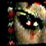 VINES OF VENOM