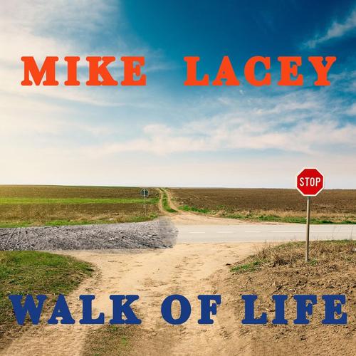 Walk Of Life cover