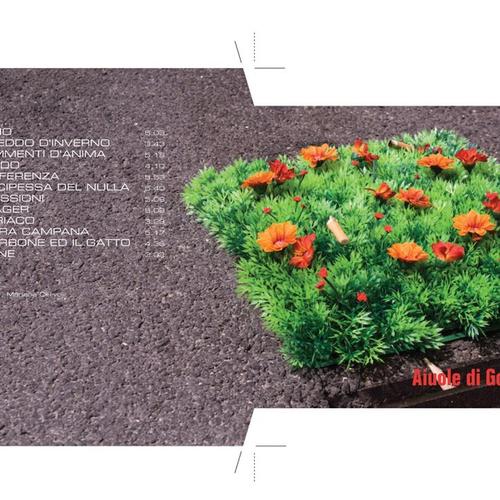 Aiuole di gomma cover