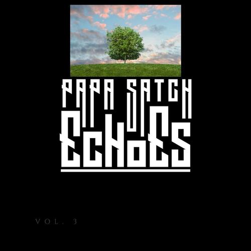 Echoes cover