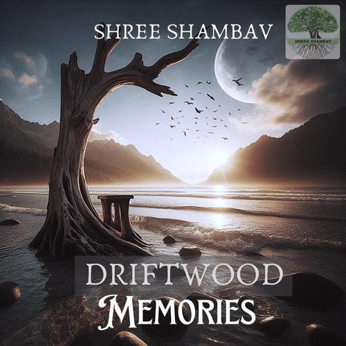 Driftwood Memories cover
