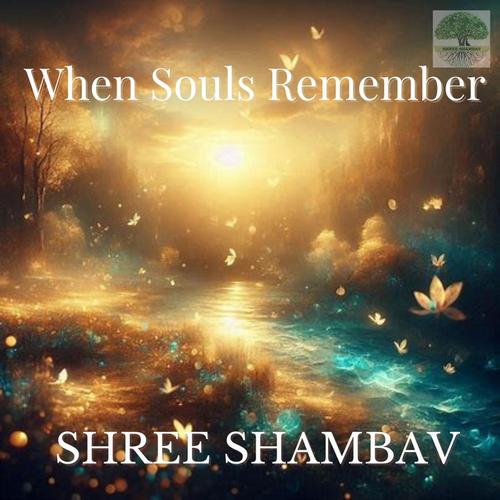 When Souls Remember cover