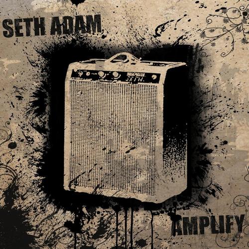 Amplify cover