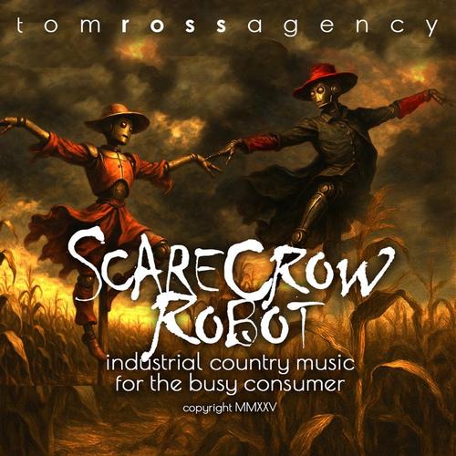 SCARECROW ROBOT: Industrial Country Music for Busy Consumers cover