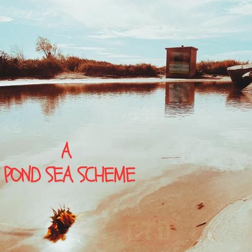 A Pond Sea Scheme cover