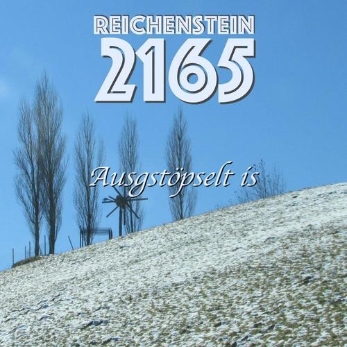 Ausgstöpselt is cover