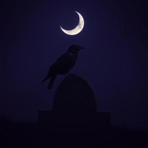 Death Comes Creeping cover