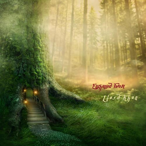 Enchanted Forest cover