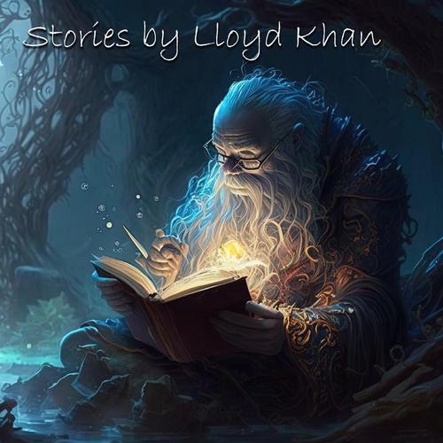Stories by Lloyd Khan cover