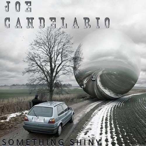Something Shiny cover