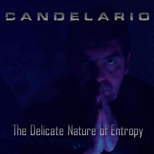 The Delicate Nature of Entropy cover