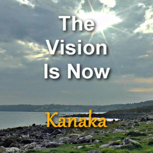 The Vision Is Now cover