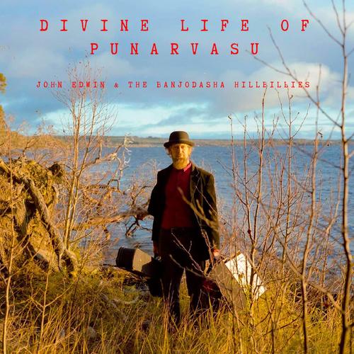 Divine life of Punarvasu cover