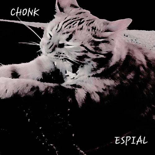 Chonk cover