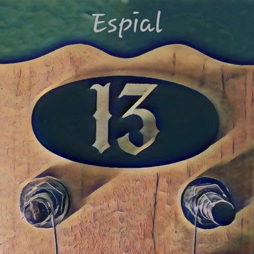 13 cover