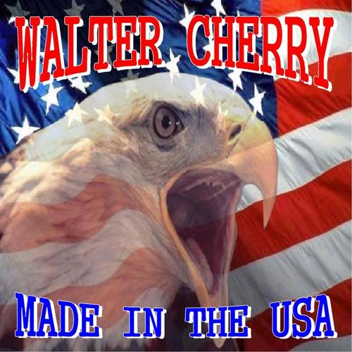 Made In The USA cover