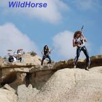 WildHorse