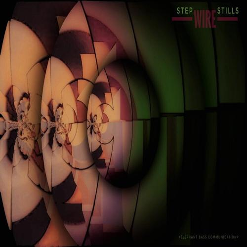 Step Wire Stills: portraits in sound cover