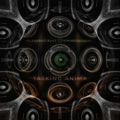 Tasking Anima cover