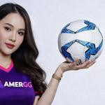 AMERGG