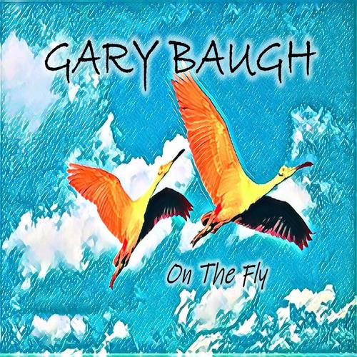 On The Fly cover