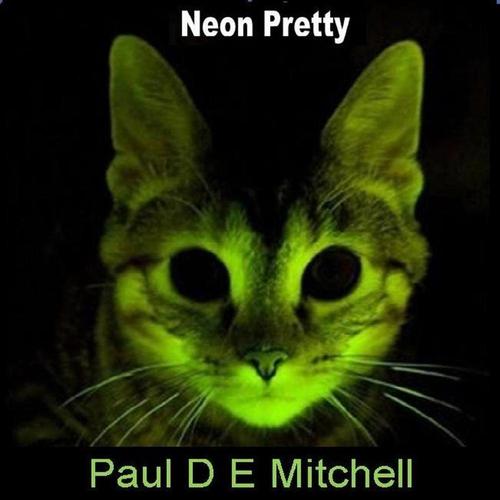Neon Pretty cover