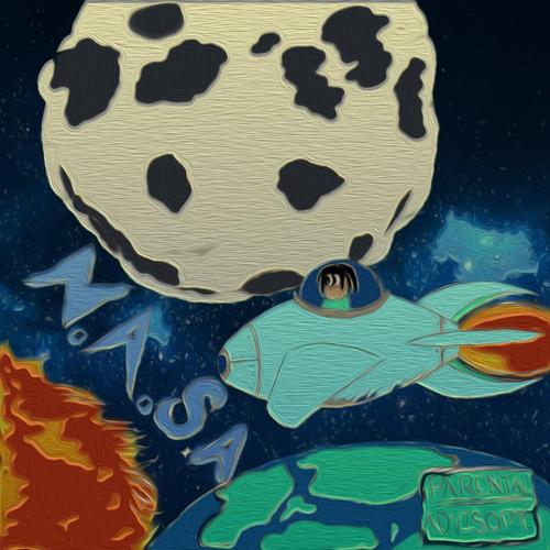 N.A.S.A. cover