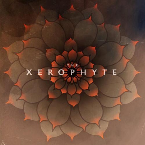 The Xerophyte cover