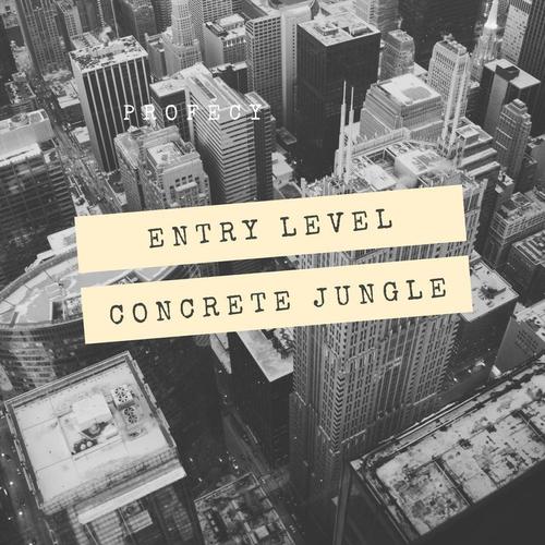 ENTRY LEVEL EP cover