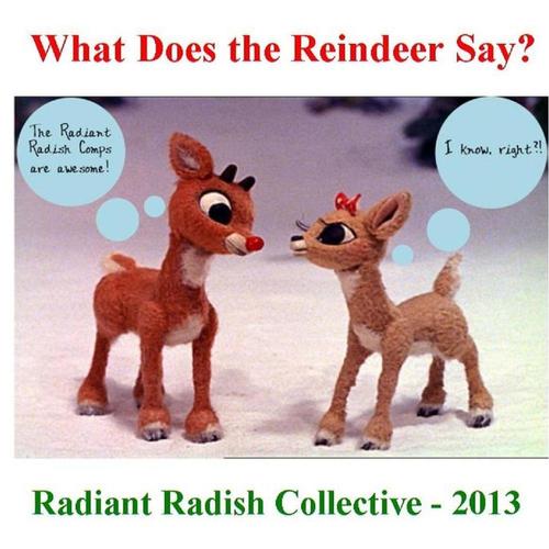 V/A - What Does The Reindeer Say? Radiant Radish Collective 2013 cover