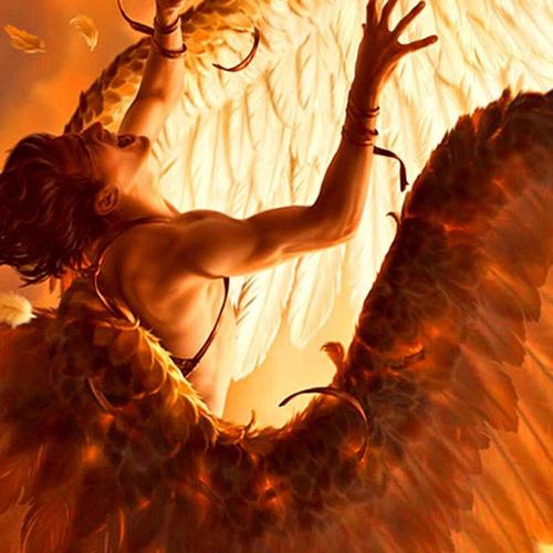 REVELATION cover