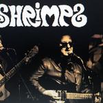 The SHRIMPS