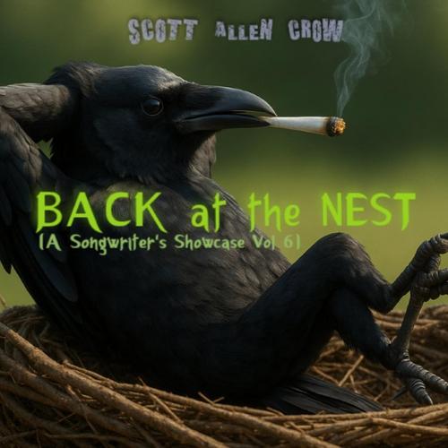 BACK at the NEST (A Songwriter's Showcase Vol 6) cover