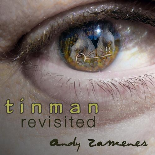 Tinman Revisited cover