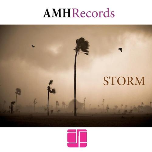 STORM cover