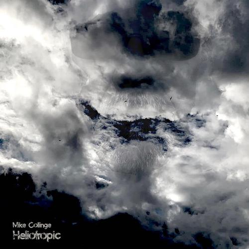 Heliotropic cover